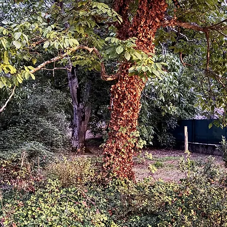 Agroturismo Grota Leiria